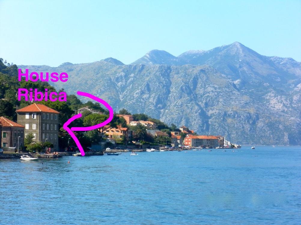 Ribica Apartments Kotor Exteriör bild
